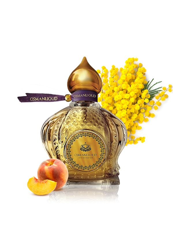 عطر أيسال  (Aysel) – 65 مل